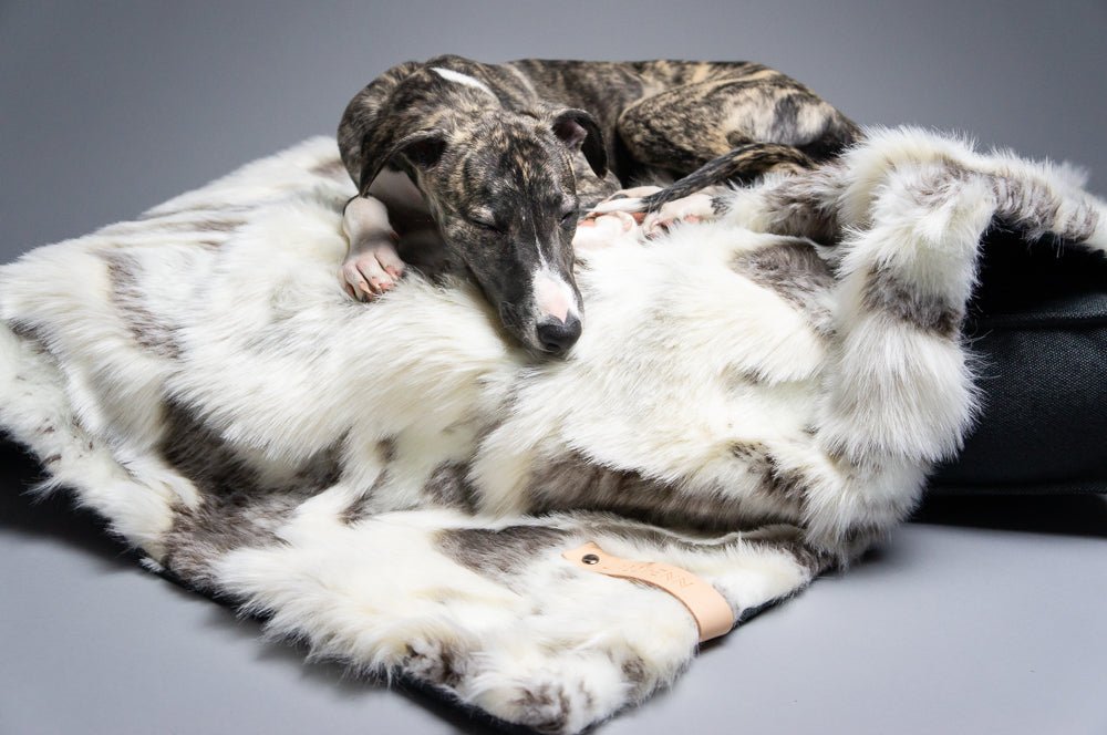 Tösse | Couverture double face douce et chaude pour chien - Jean - Poil - S