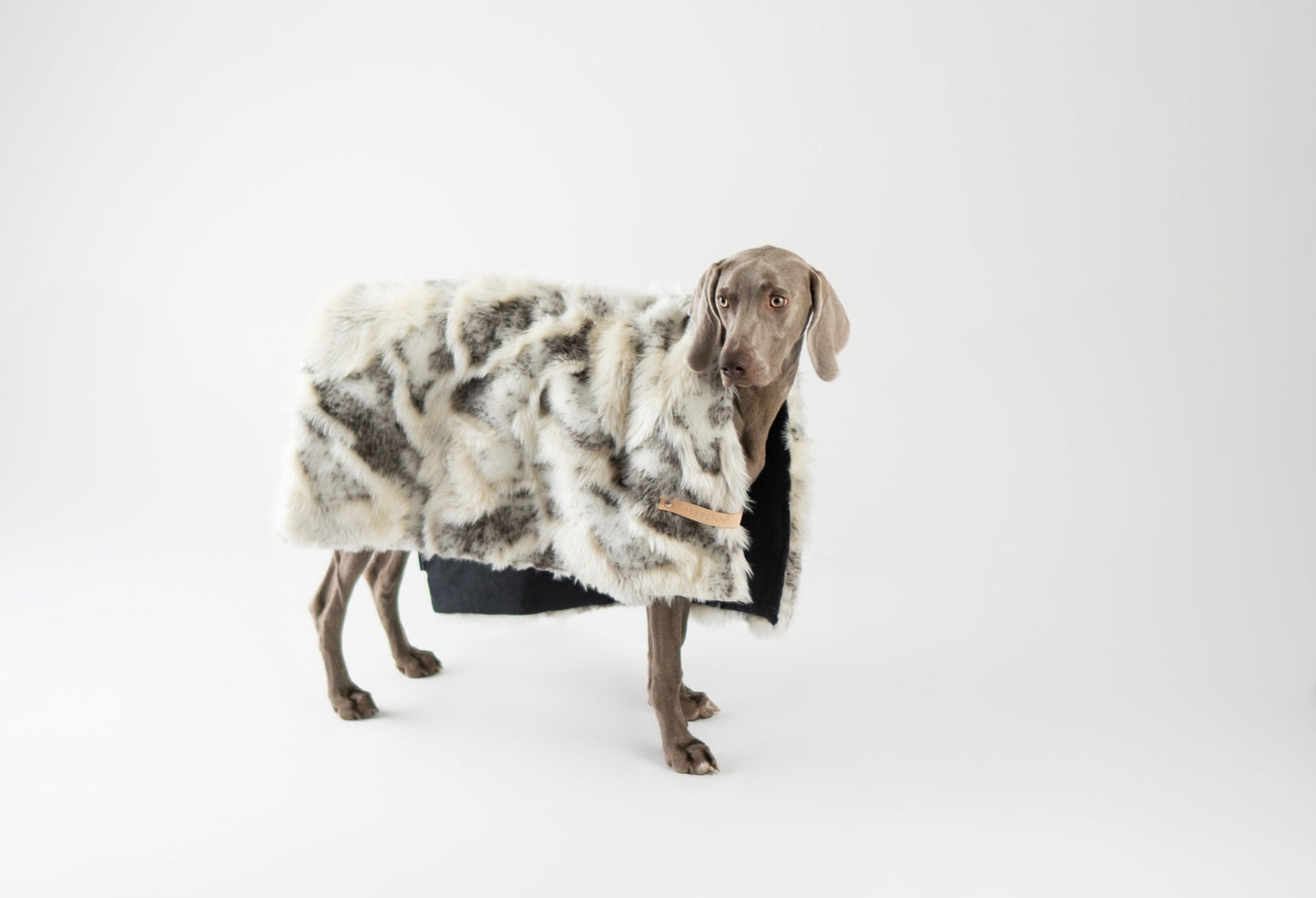 Tösse | Couverture double face douce et chaude pour chien - Jean - Poil - S
