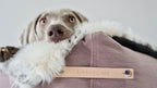 Tösse | Couverture double face douce et chaude pour chien - Jean - Poil - S