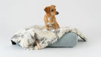 Tösse | Couverture double face douce et chaude pour chien - Jean - Poil - S