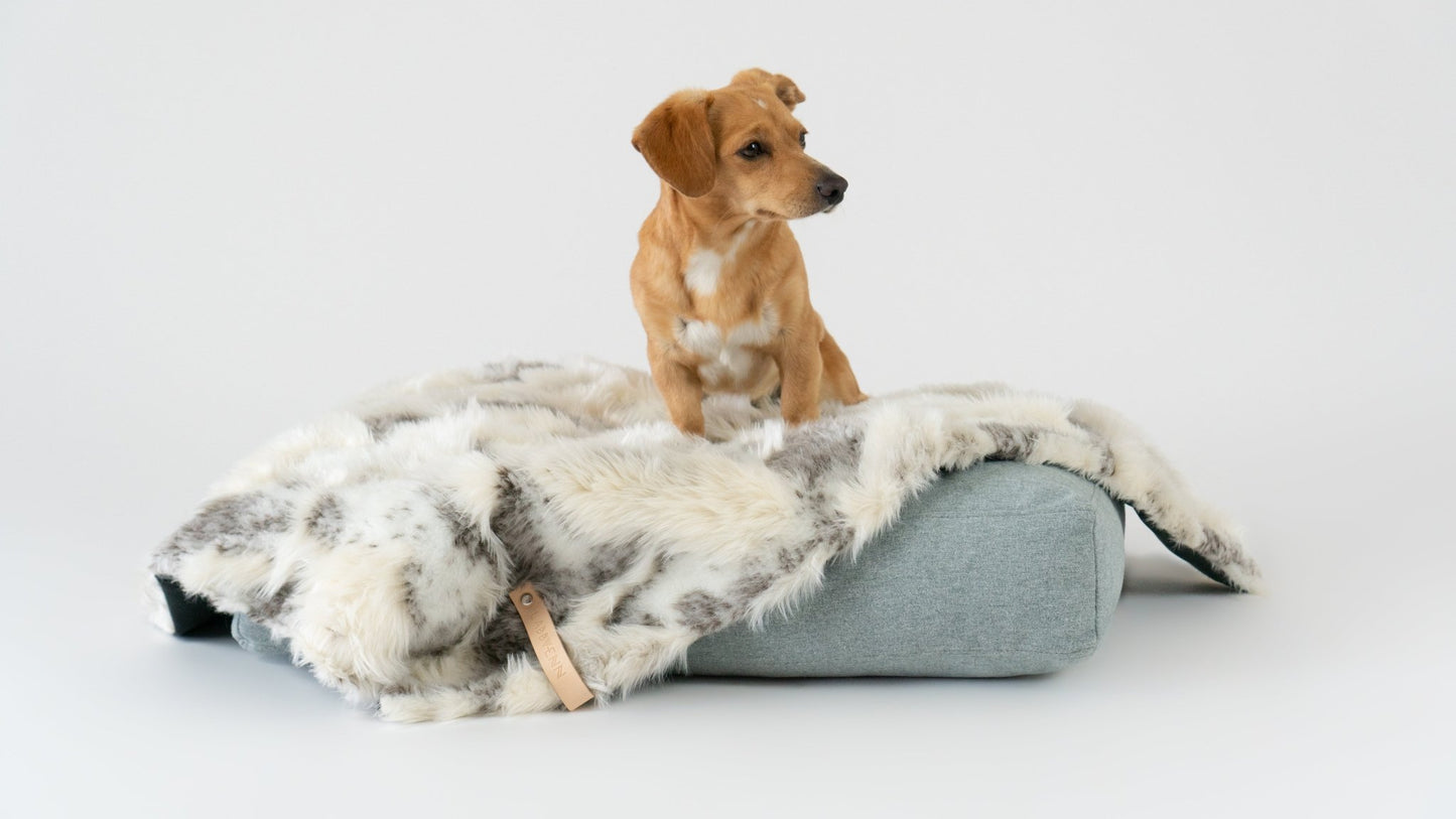 Tösse | Couverture double face douce et chaude pour chien - Jean - Poil - S