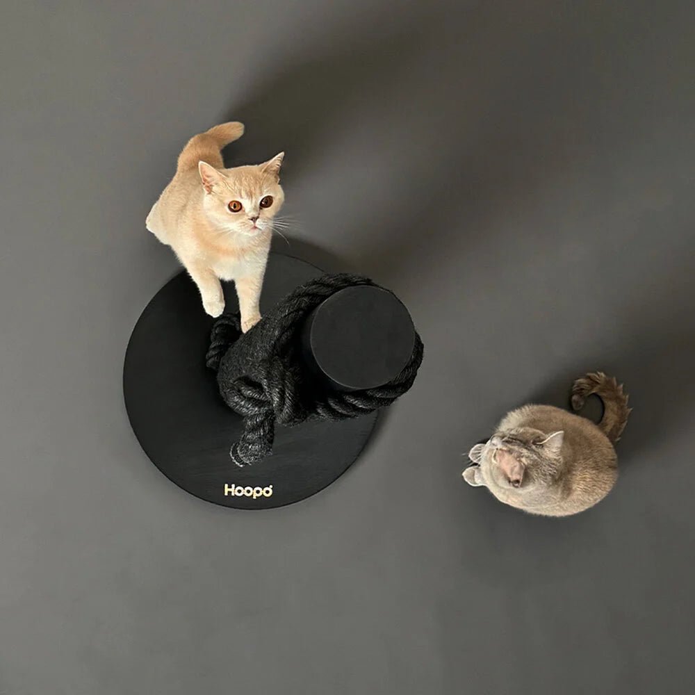 Totem | Griffoir de compétition en bois et sisal pour chat - Jean - Poil - Noir