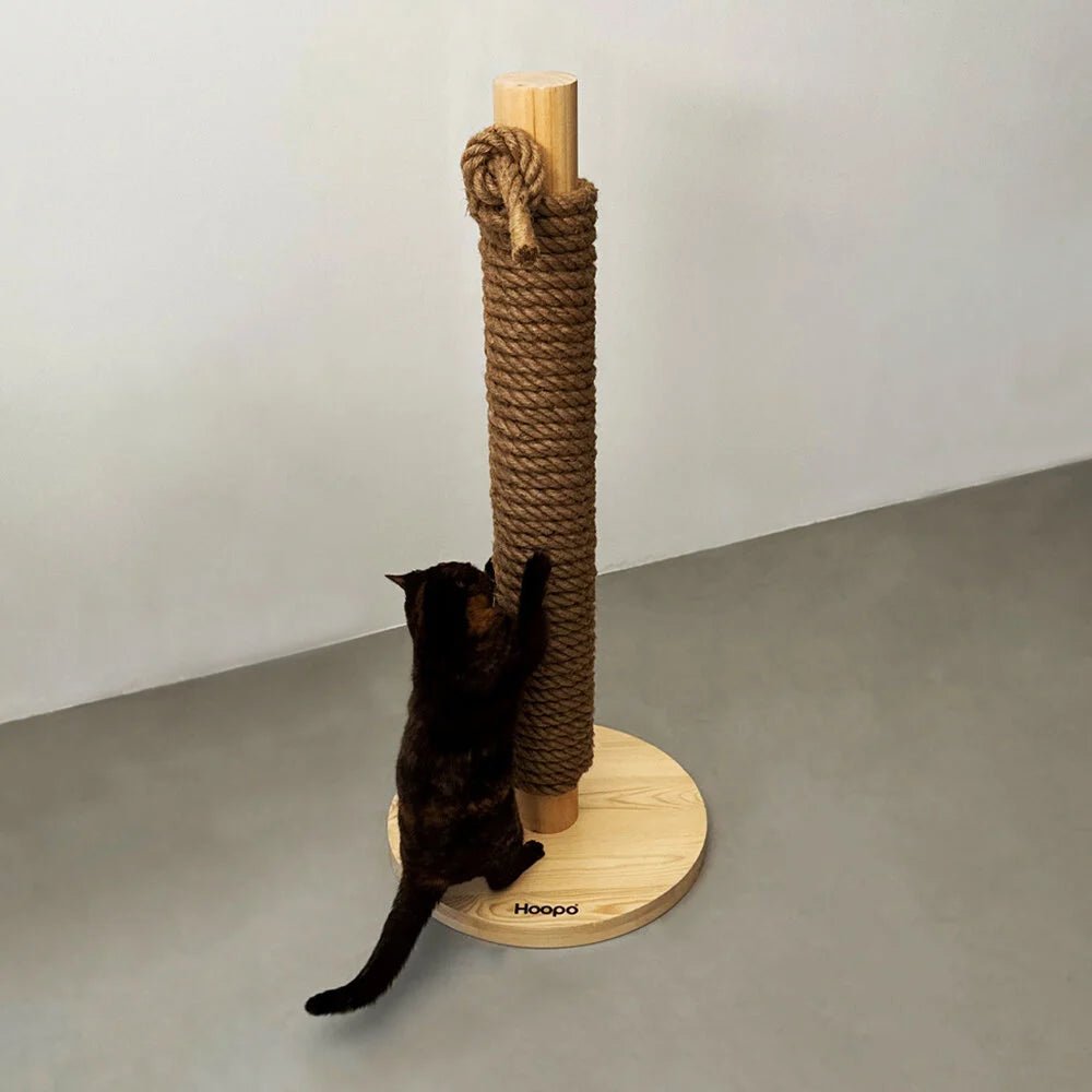 Totem | Griffoir de compétition en bois et sisal pour chat - Jean - Poil - Noir