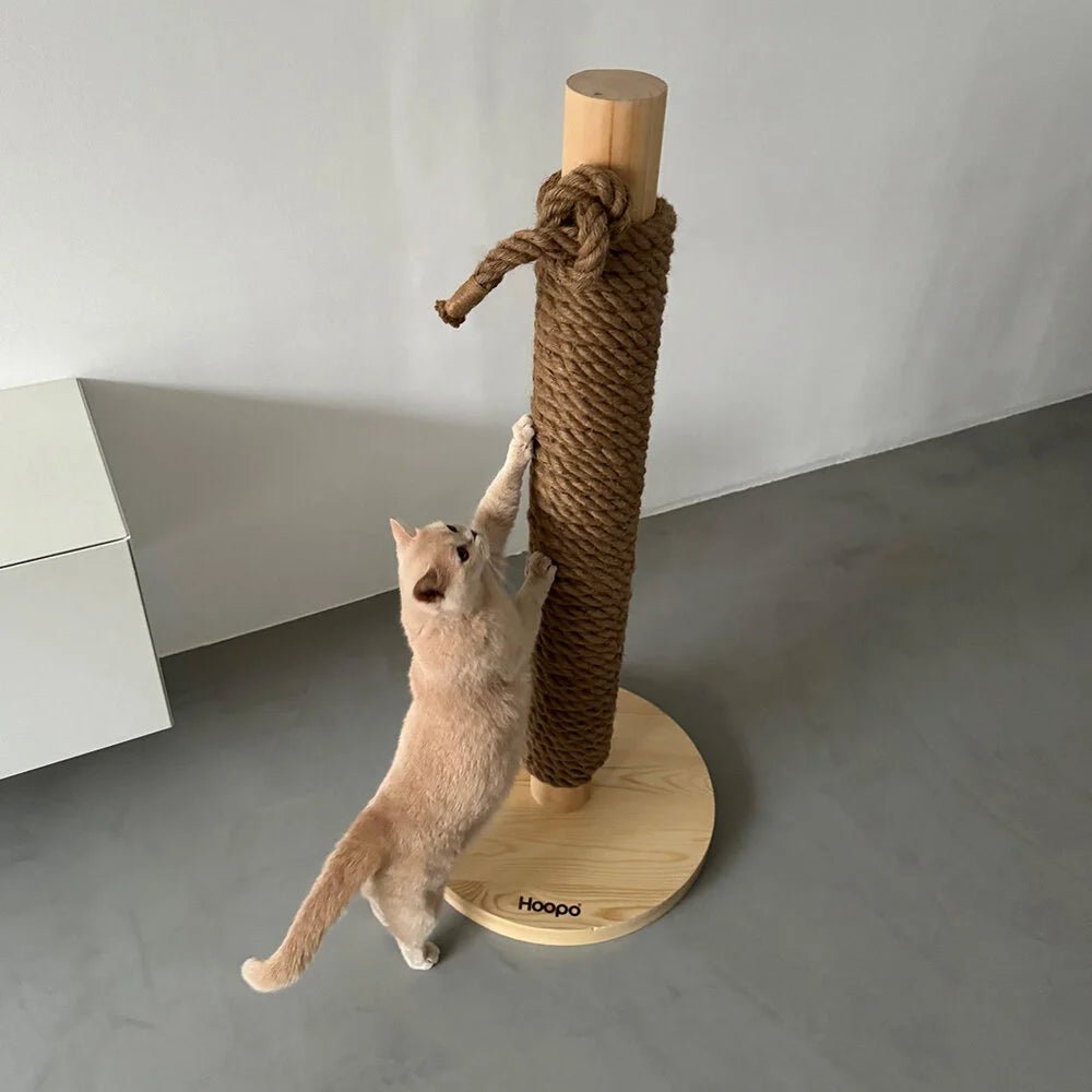 Totem | Griffoir de compétition en bois et sisal pour chat - Jean - Poil - Noir