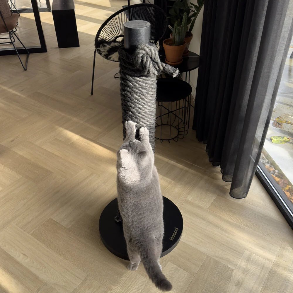 Totem | Griffoir de compétition en bois et sisal pour chat - Jean - Poil - Noir