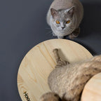 Totem | Griffoir de compétition en bois et sisal pour chat - Jean - Poil - Noir