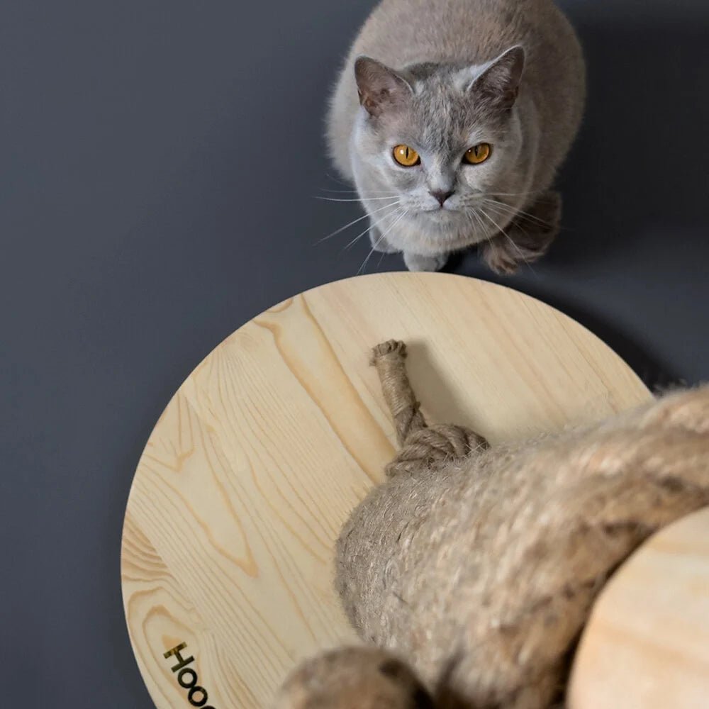 Totem | Griffoir de compétition en bois et sisal pour chat - Jean - Poil - Noir