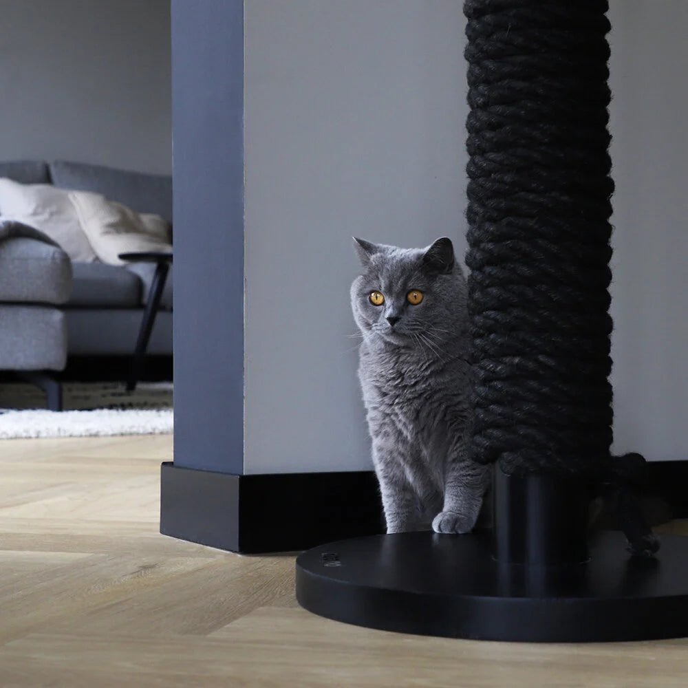 Totem | Griffoir de compétition en bois et sisal pour chat - Jean - Poil - Noir