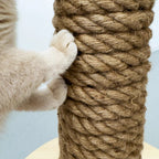 Totem | Griffoir de compétition en bois et sisal pour chat - Jean - Poil - Noir