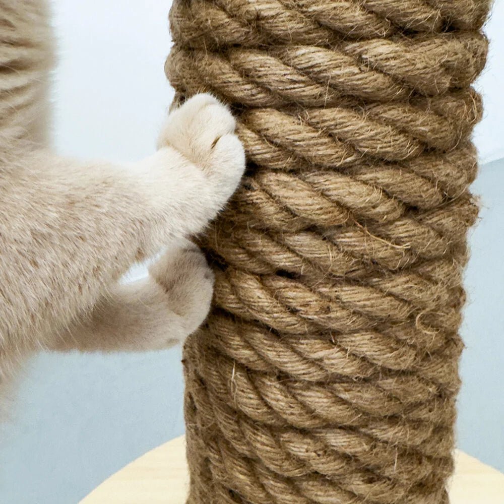 Totem | Griffoir de compétition en bois et sisal pour chat - Jean - Poil - Noir