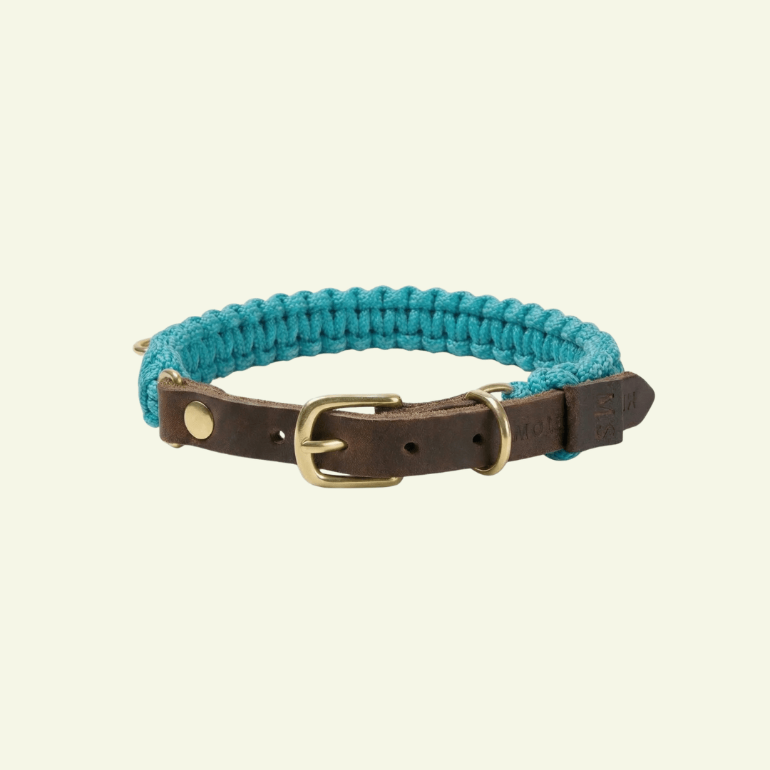 Touch | Collier pour chien en corde et cuir – Finition laiton ou acier (9 coloris) - Jean - Poil - Bleu turquoise
