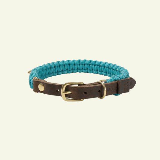 Touch | Collier pour chien en corde et cuir – Finition laiton ou acier (9 coloris) - Jean - Poil - Bleu turquoise