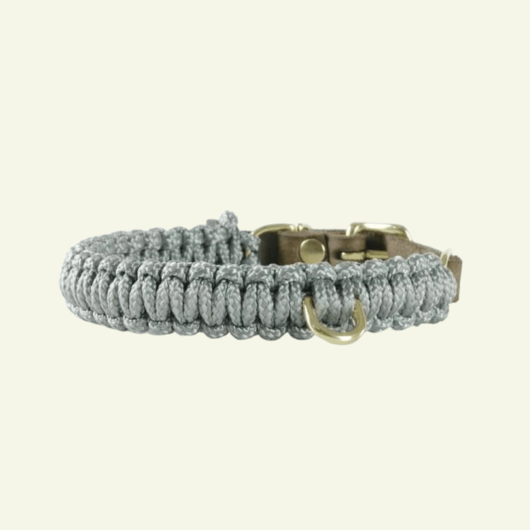 Touch | Collier pour chien en corde et cuir – Finition laiton ou acier (9 coloris) - Jean - Poil - Gris