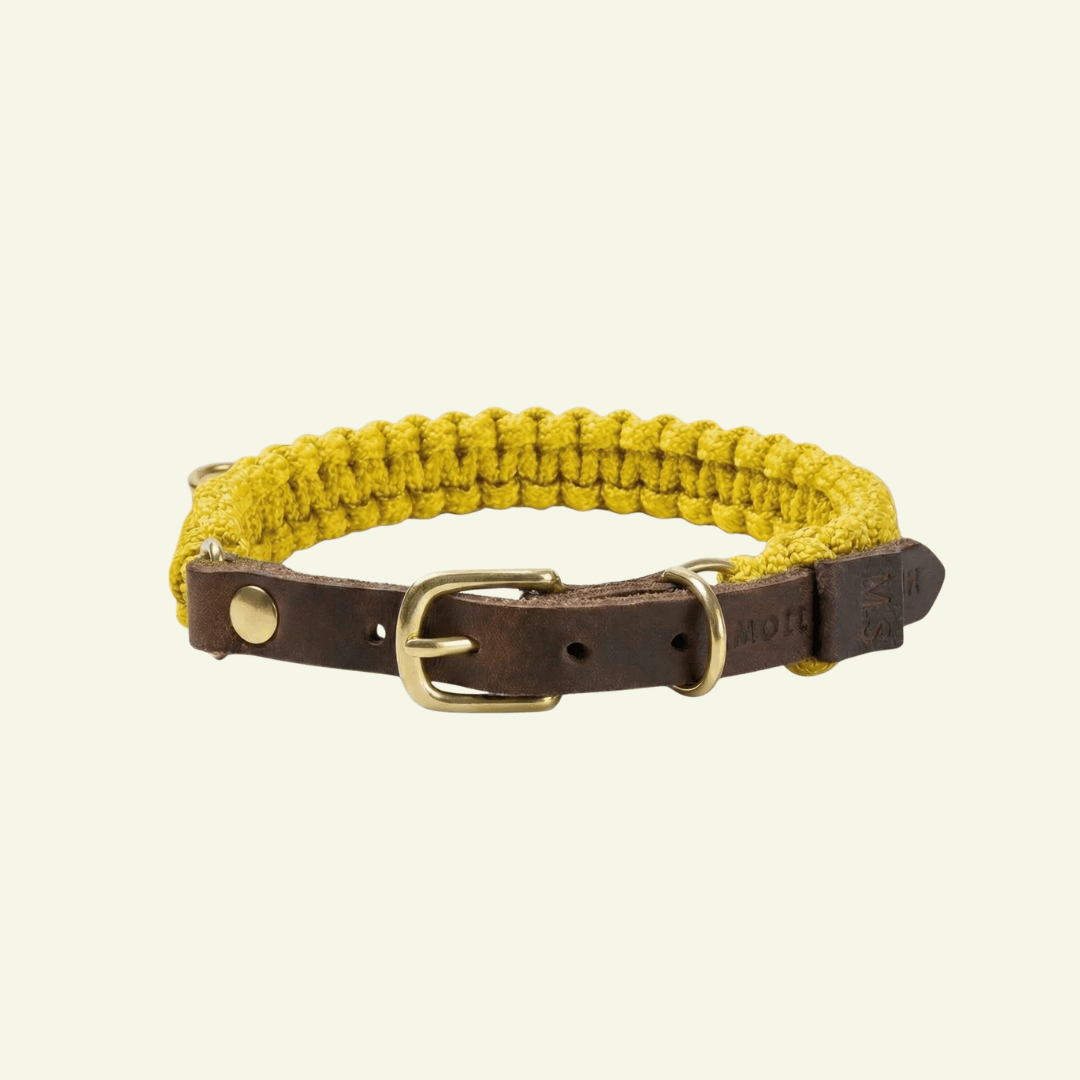 Touch | Collier pour chien en corde et cuir – Finition laiton ou acier (9 coloris) - Jean - Poil - Jaune