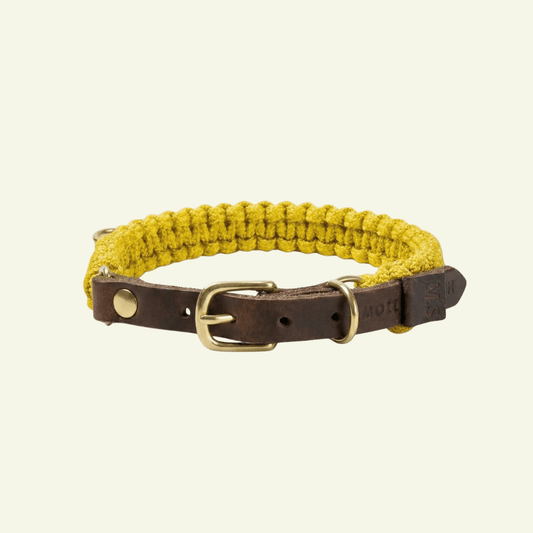 Touch | Collier pour chien en corde et cuir – Finition laiton ou acier (9 coloris) - Jean - Poil - Jaune