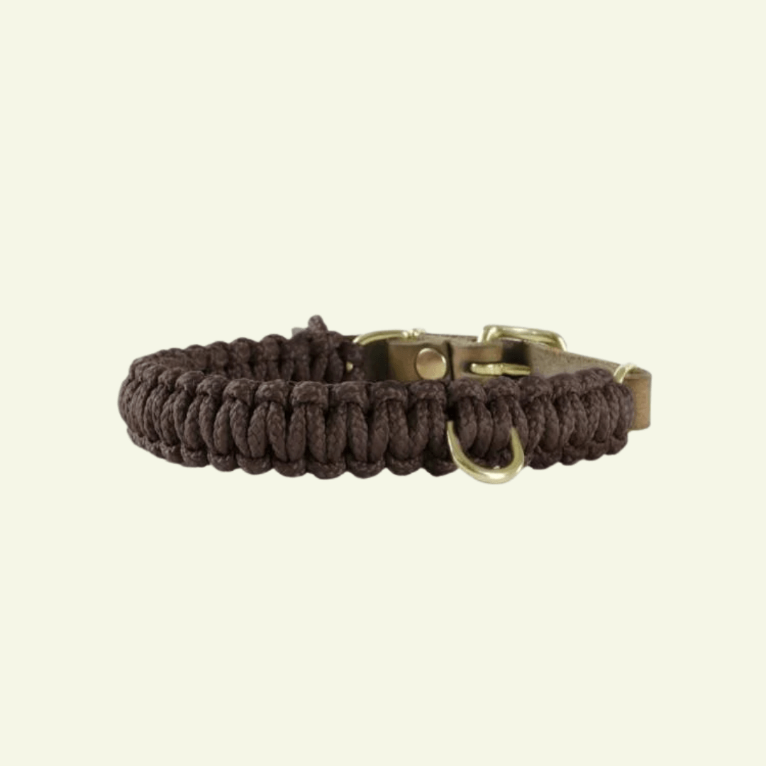 Touch | Collier pour chien en corde et cuir – Finition laiton ou acier (9 coloris) - Jean - Poil - Marron