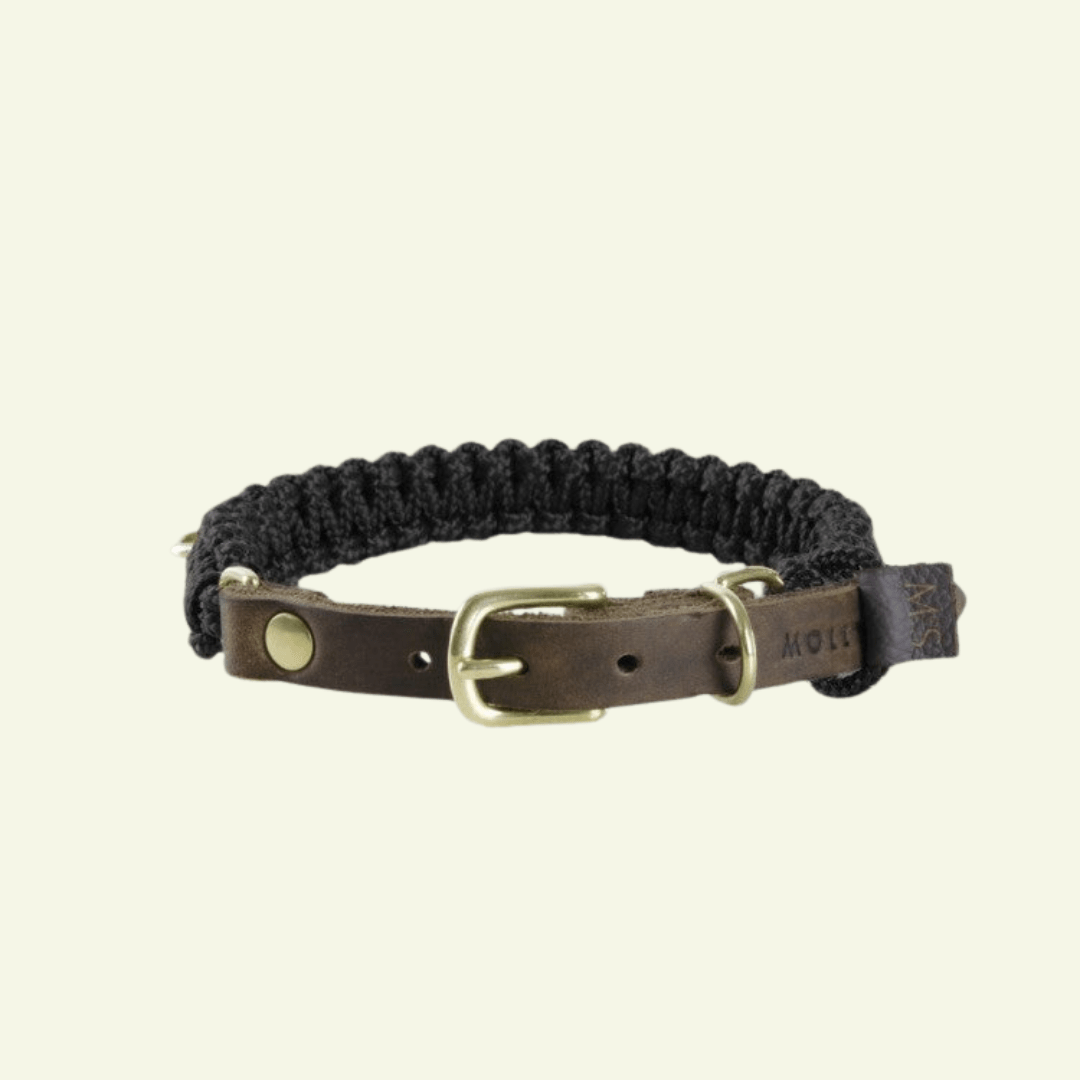 Touch | Collier pour chien en corde et cuir – Finition laiton ou acier (9 coloris) - Jean - Poil - Noir