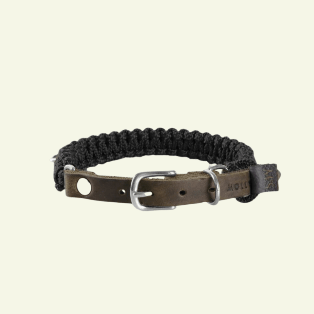 Touch | Collier pour chien en corde et cuir – Finition laiton ou acier (9 coloris) - Jean - Poil - Noir