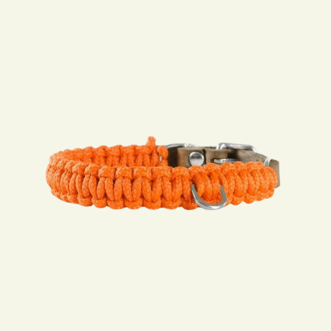 Touch | Collier pour chien en corde et cuir – Finition laiton ou acier (9 coloris) - Jean - Poil - Orange