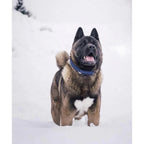 Touch | Collier pour chien en corde et cuir – Finition laiton ou acier (9 coloris) - Jean - Poil - Vert