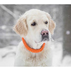 Touch | Collier pour chien en corde et cuir – Finition laiton ou acier (9 coloris) - Jean - Poil - Orange