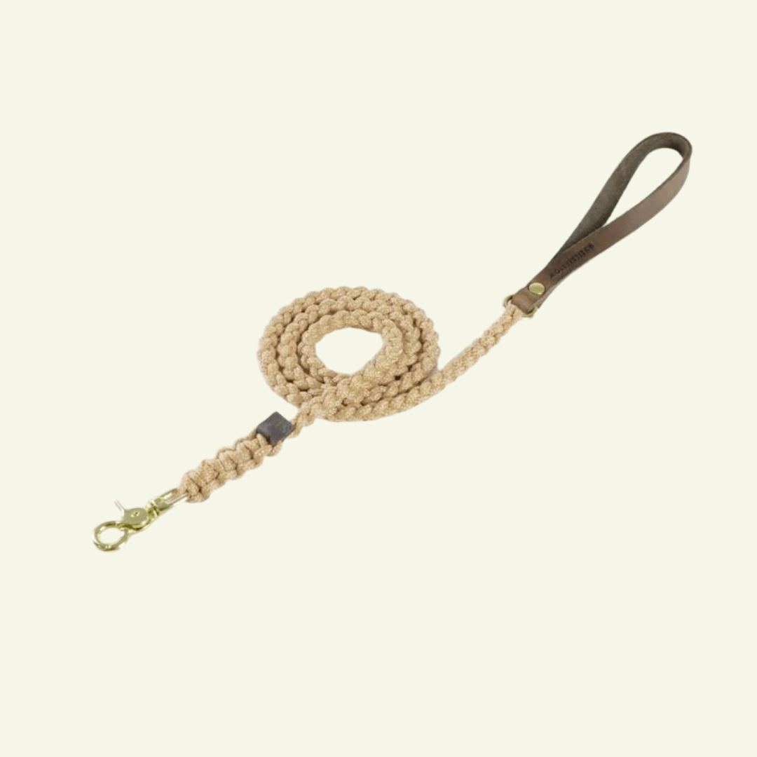 Touch | Laisse pour chien en corde et cuir – Finition laiton ou acier (9 coloris) - Jean - Poil - Beige