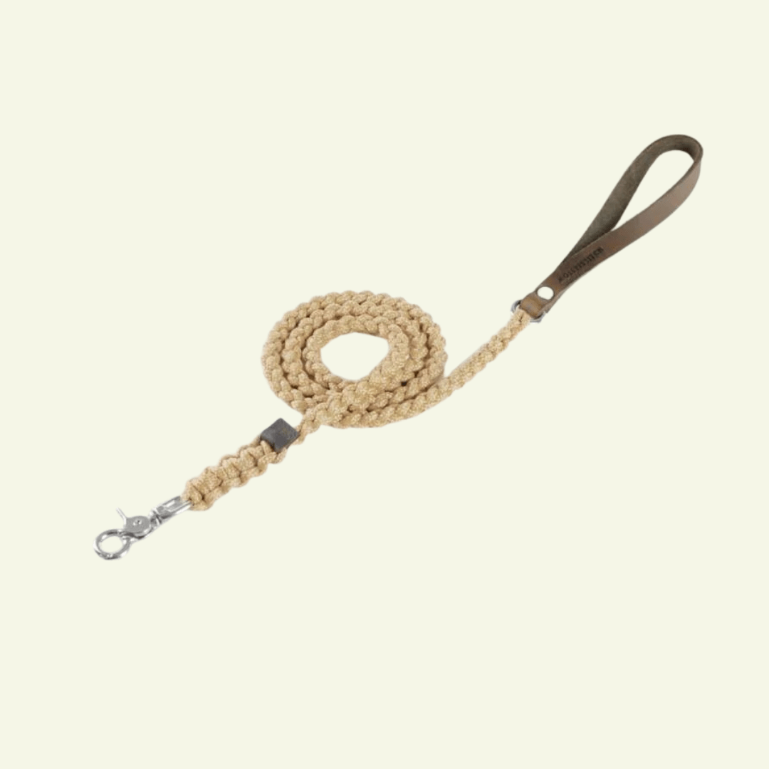 Touch | Laisse pour chien en corde et cuir – Finition laiton ou acier (9 coloris) - Jean - Poil - Beige