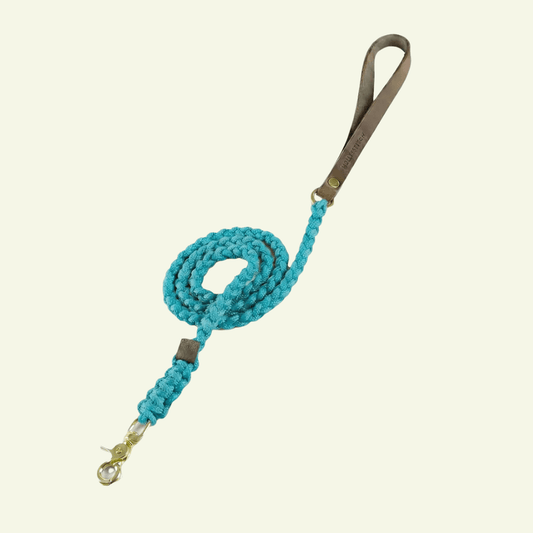 Touch | Laisse pour chien en corde et cuir – Finition laiton ou acier (9 coloris) - Jean - Poil - Bleu turquoise