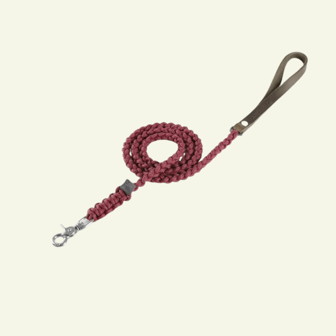 Touch | Laisse pour chien en corde et cuir – Finition laiton ou acier (9 coloris) - Jean - Poil - Bordeaux