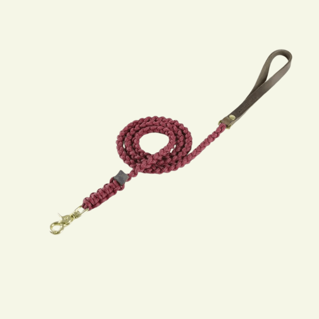 Touch | Laisse pour chien en corde et cuir – Finition laiton ou acier (9 coloris) - Jean - Poil - Bordeaux