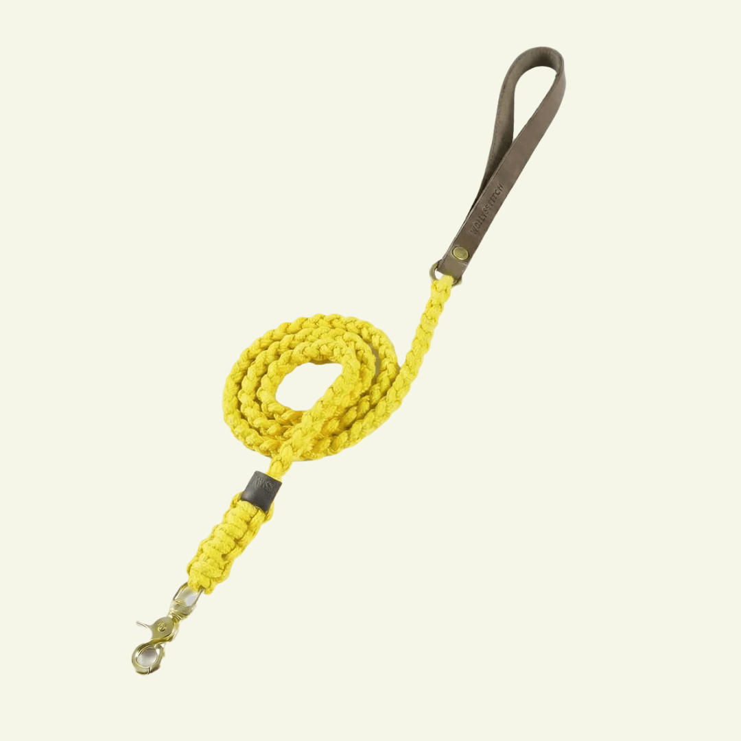 Touch | Laisse pour chien en corde et cuir – Finition laiton ou acier (9 coloris) - Jean - Poil - Jaune