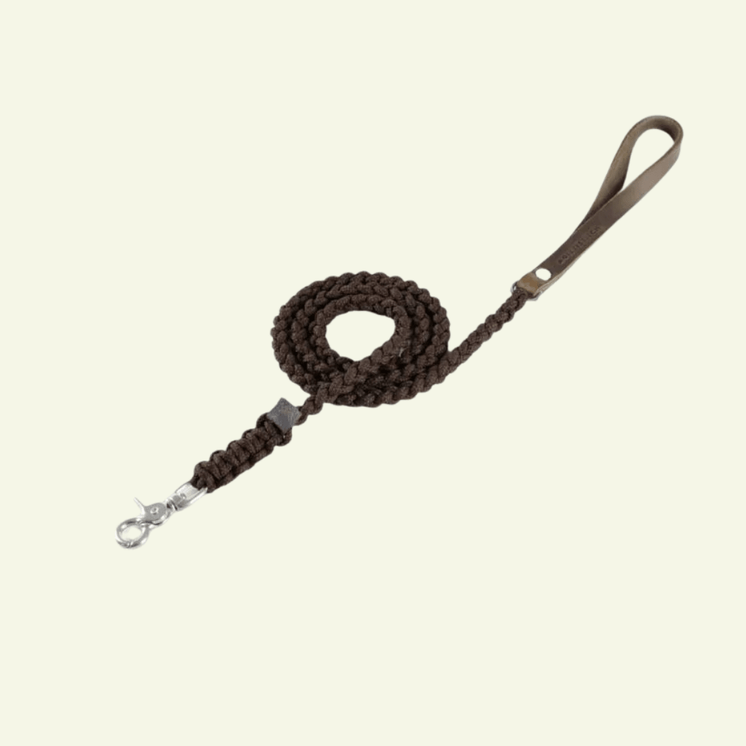Touch | Laisse pour chien en corde et cuir – Finition laiton ou acier (9 coloris) - Jean - Poil - Marron