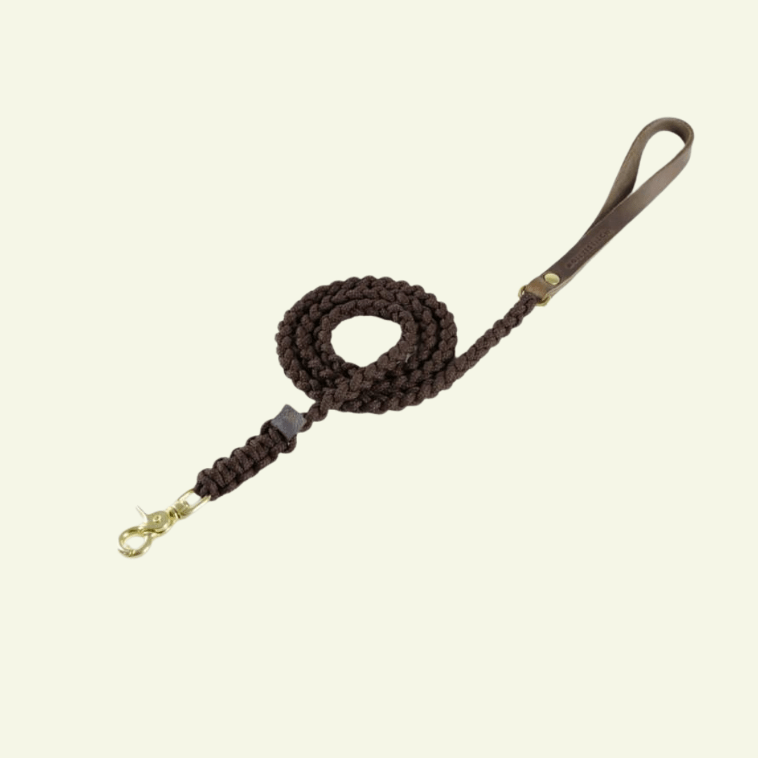 Touch | Laisse pour chien en corde et cuir – Finition laiton ou acier (9 coloris) - Jean - Poil - Marron