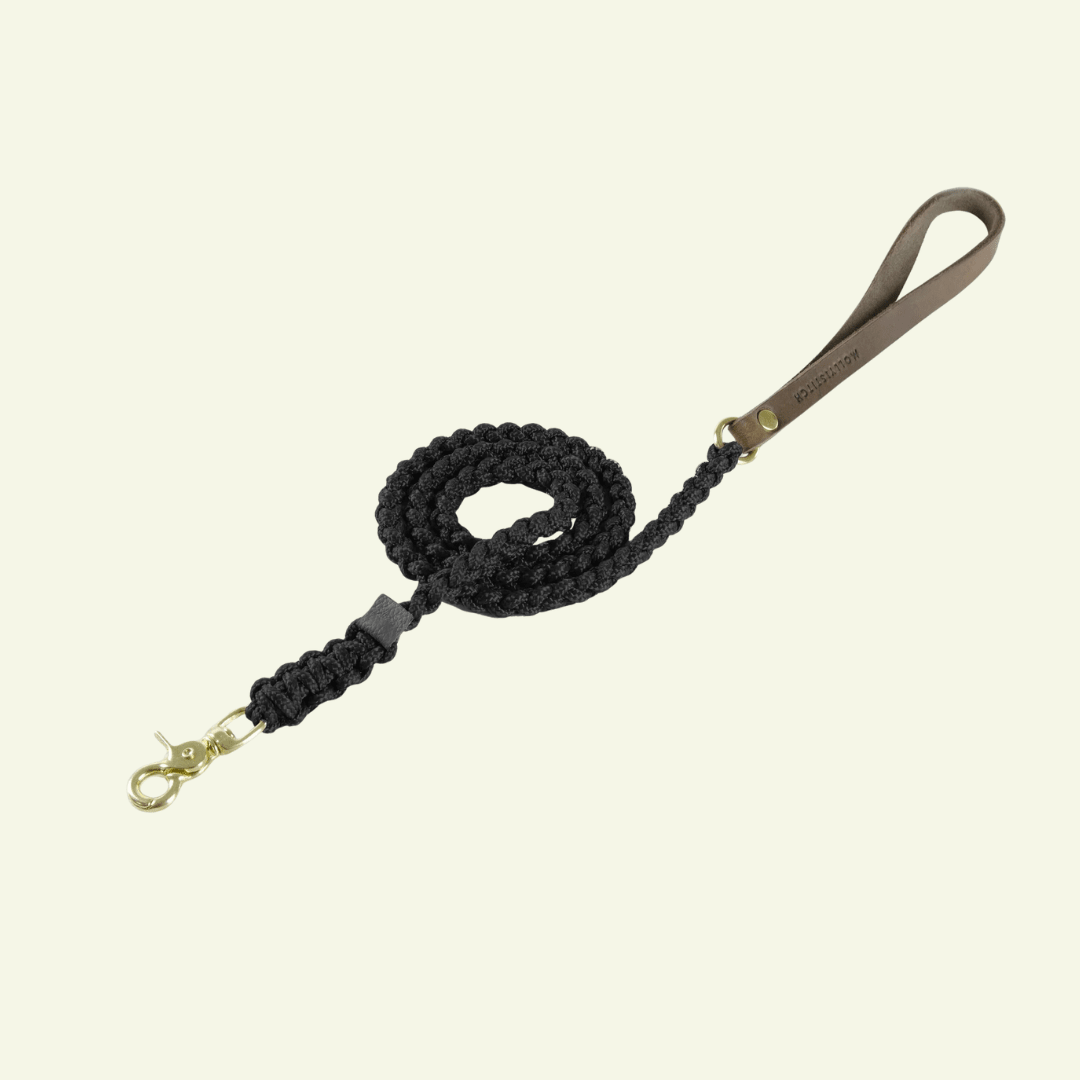 Touch | Laisse pour chien en corde et cuir – Finition laiton ou acier (9 coloris) - Jean - Poil - Noir
