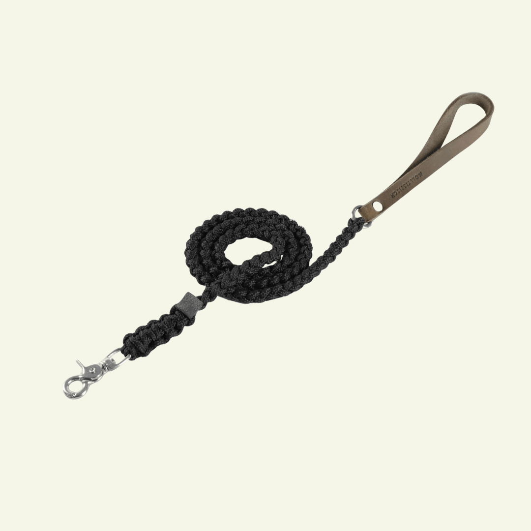 Touch | Laisse pour chien en corde et cuir – Finition laiton ou acier (9 coloris) - Jean - Poil - Noir