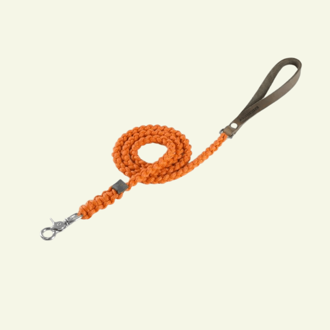 Touch | Laisse pour chien en corde et cuir – Finition laiton ou acier (9 coloris) - Jean - Poil - Orange