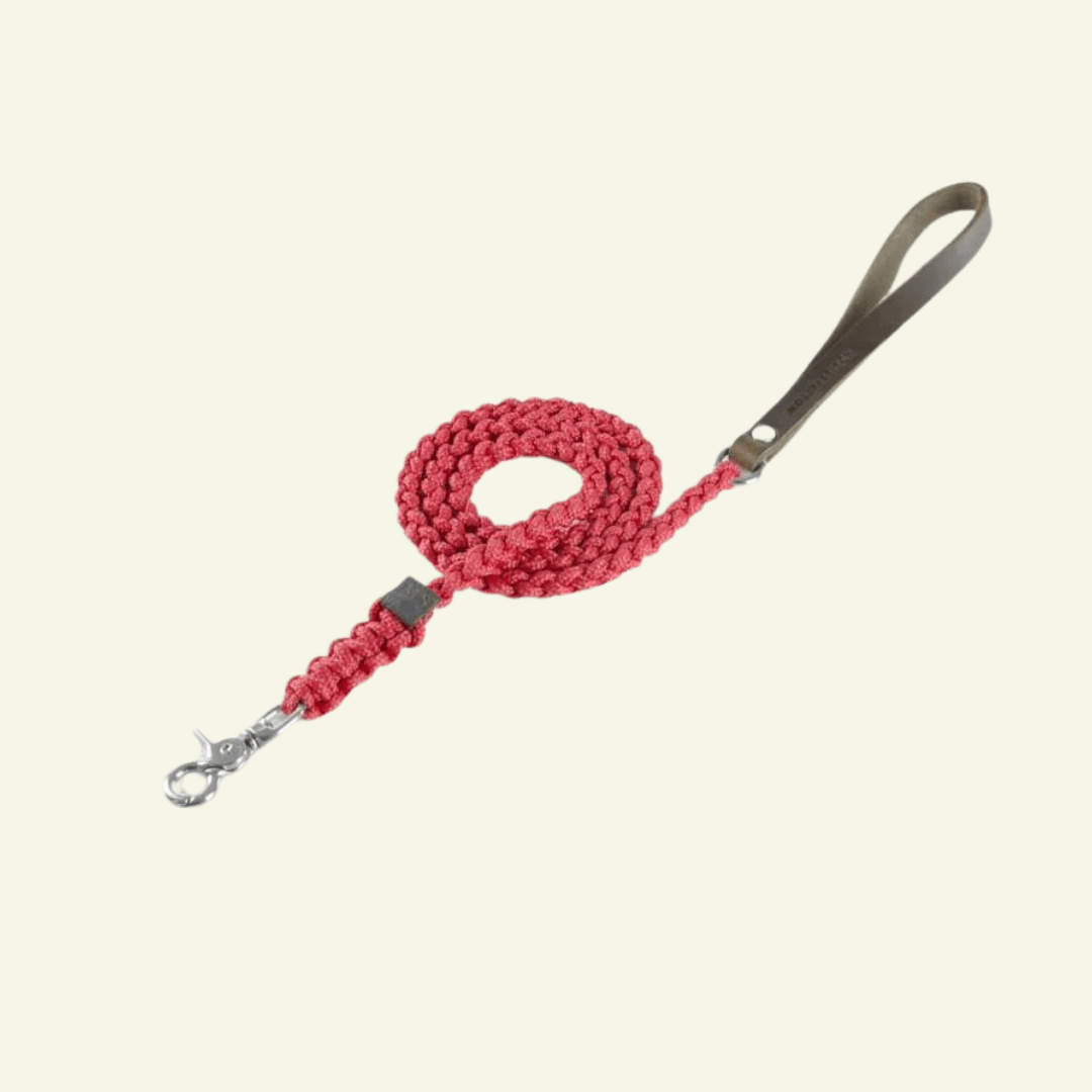 Touch | Laisse pour chien en corde et cuir – Finition laiton ou acier (9 coloris) - Jean - Poil - Rouge