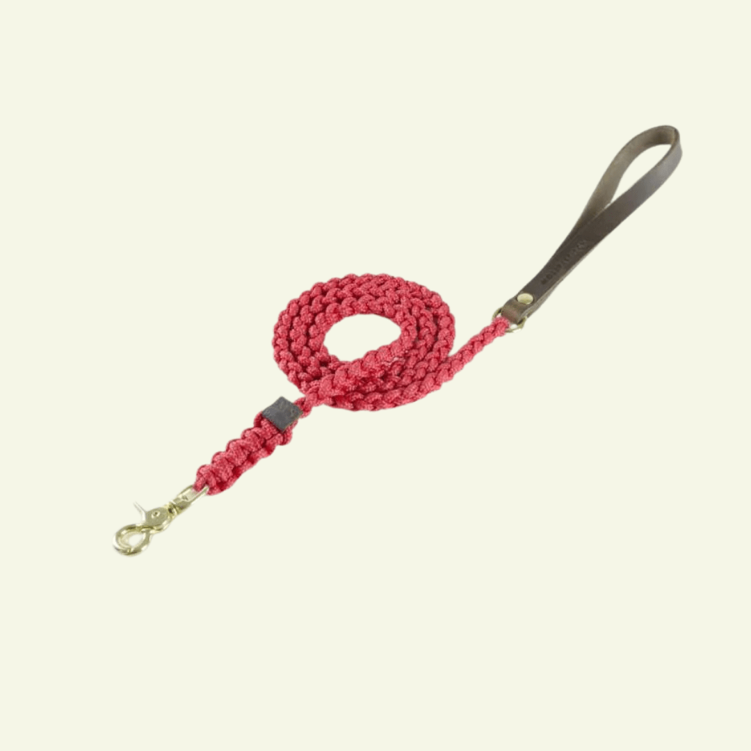 Touch | Laisse pour chien en corde et cuir – Finition laiton ou acier (9 coloris) - Jean - Poil - Rouge
