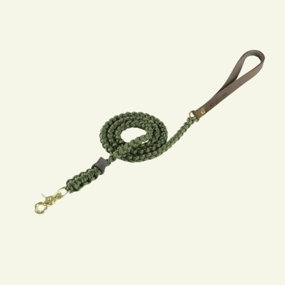 Touch | Laisse pour chien en corde et cuir – Finition laiton ou acier (9 coloris) - Jean - Poil - Vert