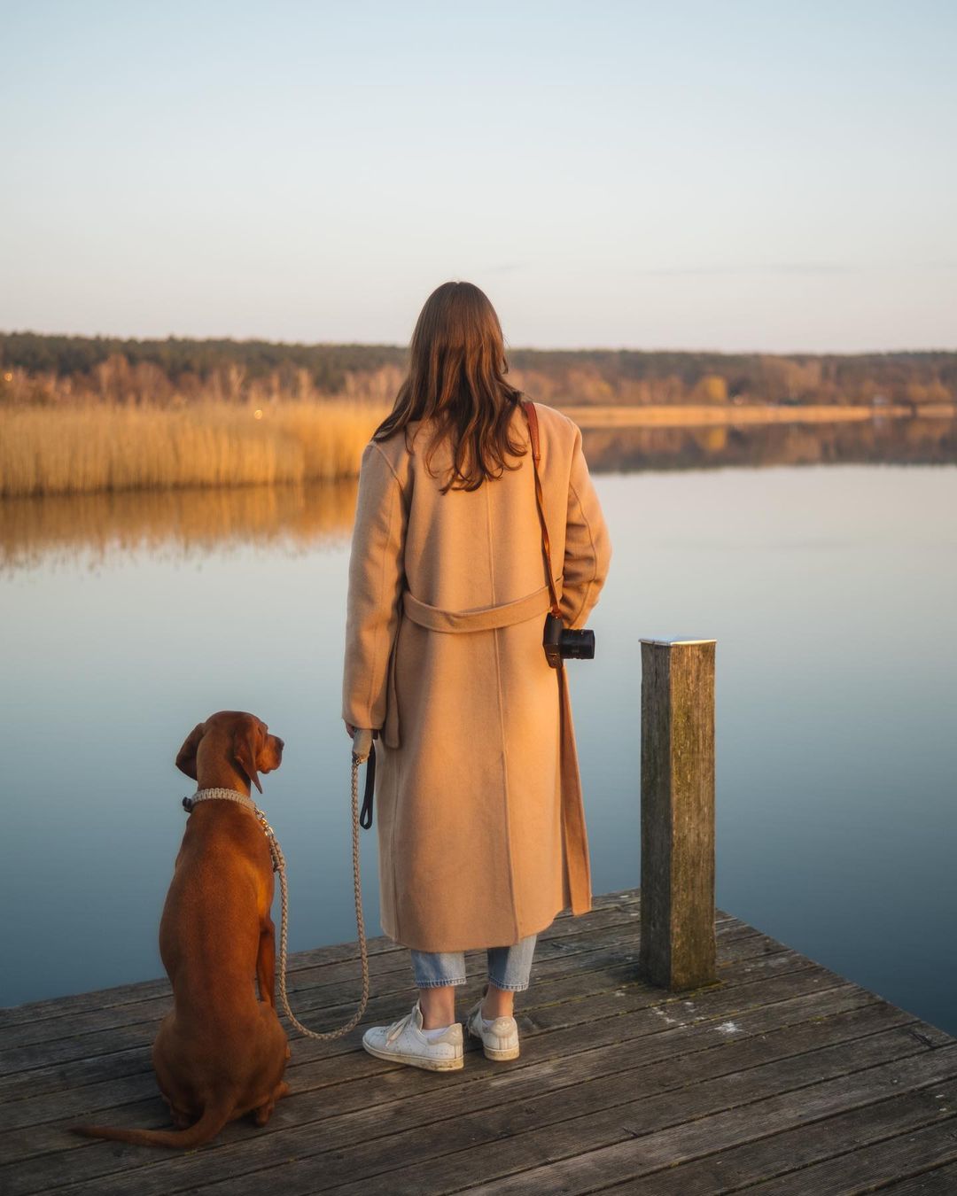 Touch | Laisse pour chien en corde et cuir – Finition laiton ou acier (9 coloris) - Jean - Poil - Vert