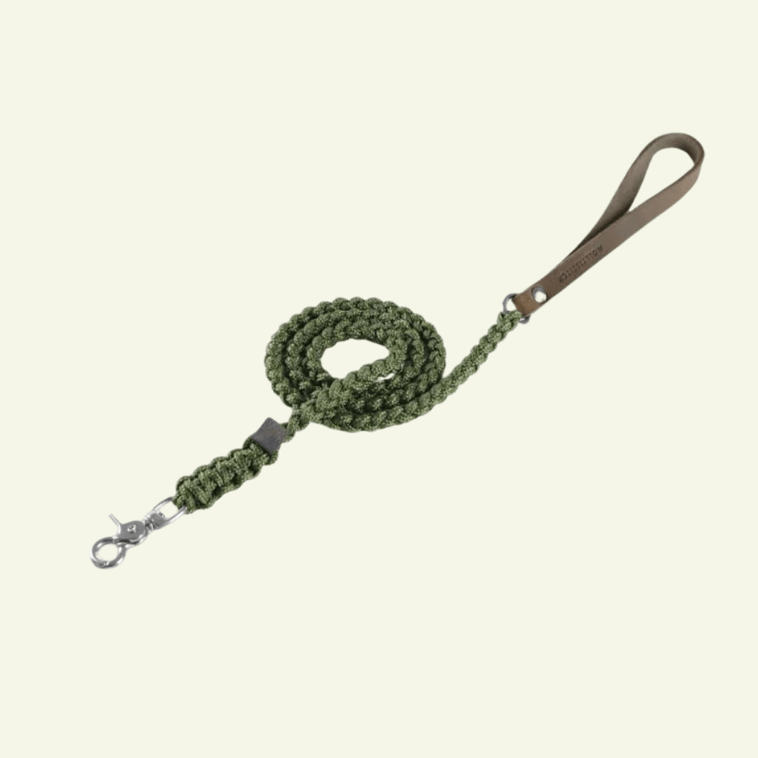 Touch | Laisse pour chien en corde et cuir – Finition laiton ou acier (9 coloris) - Jean - Poil - Vert