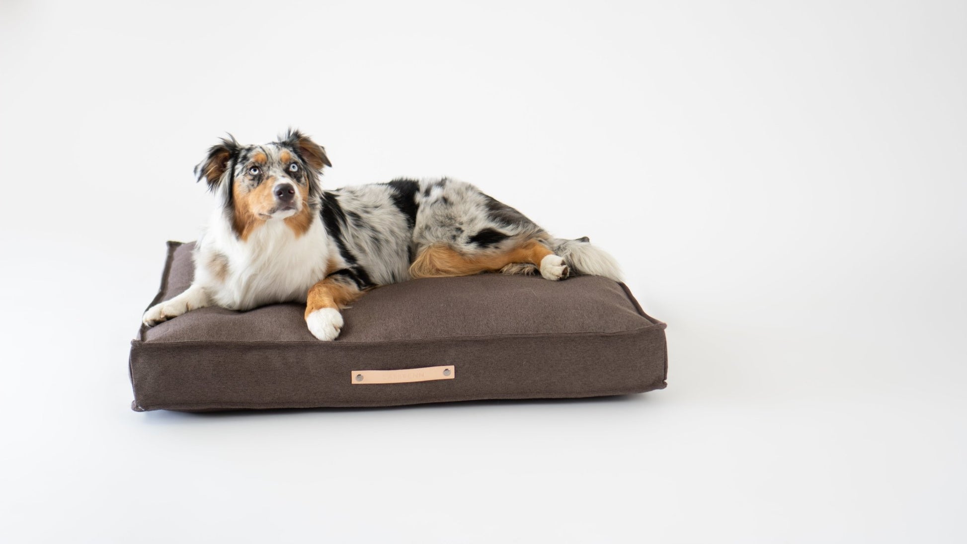 Tove | Matelas orthopédique pour chien Tove - housse amovible - Jean - Poil - Marron