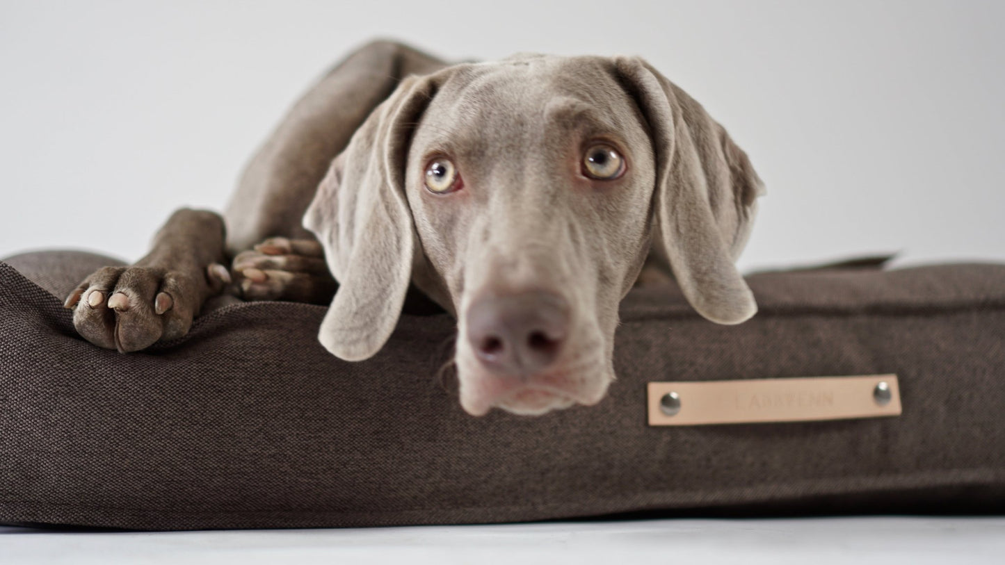 Tove | Matelas orthopédique pour chien Tove - housse amovible - Jean - Poil - Marron