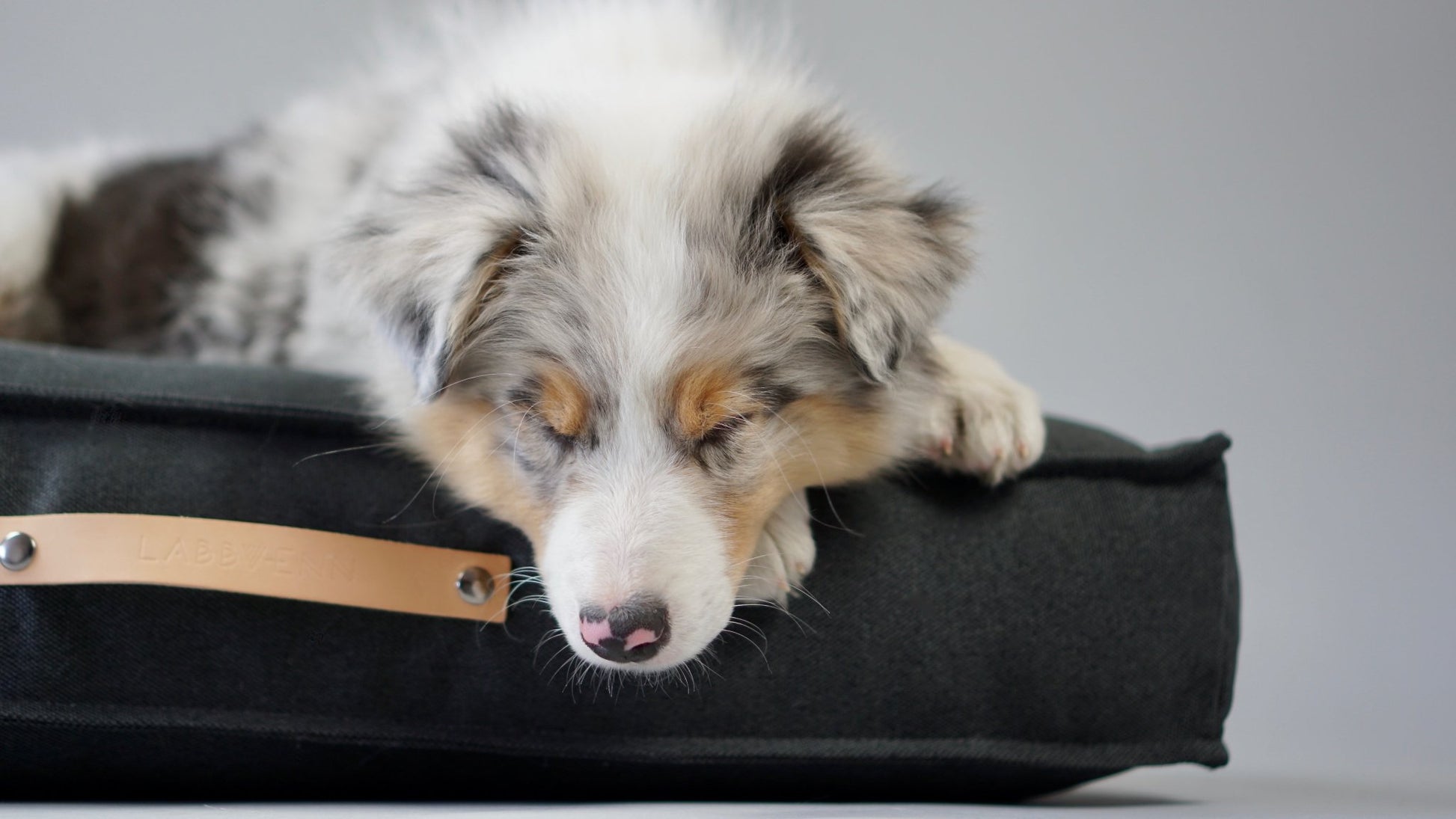 Tove | Matelas orthopédique pour chien Tove - housse amovible - Jean - Poil - Marron