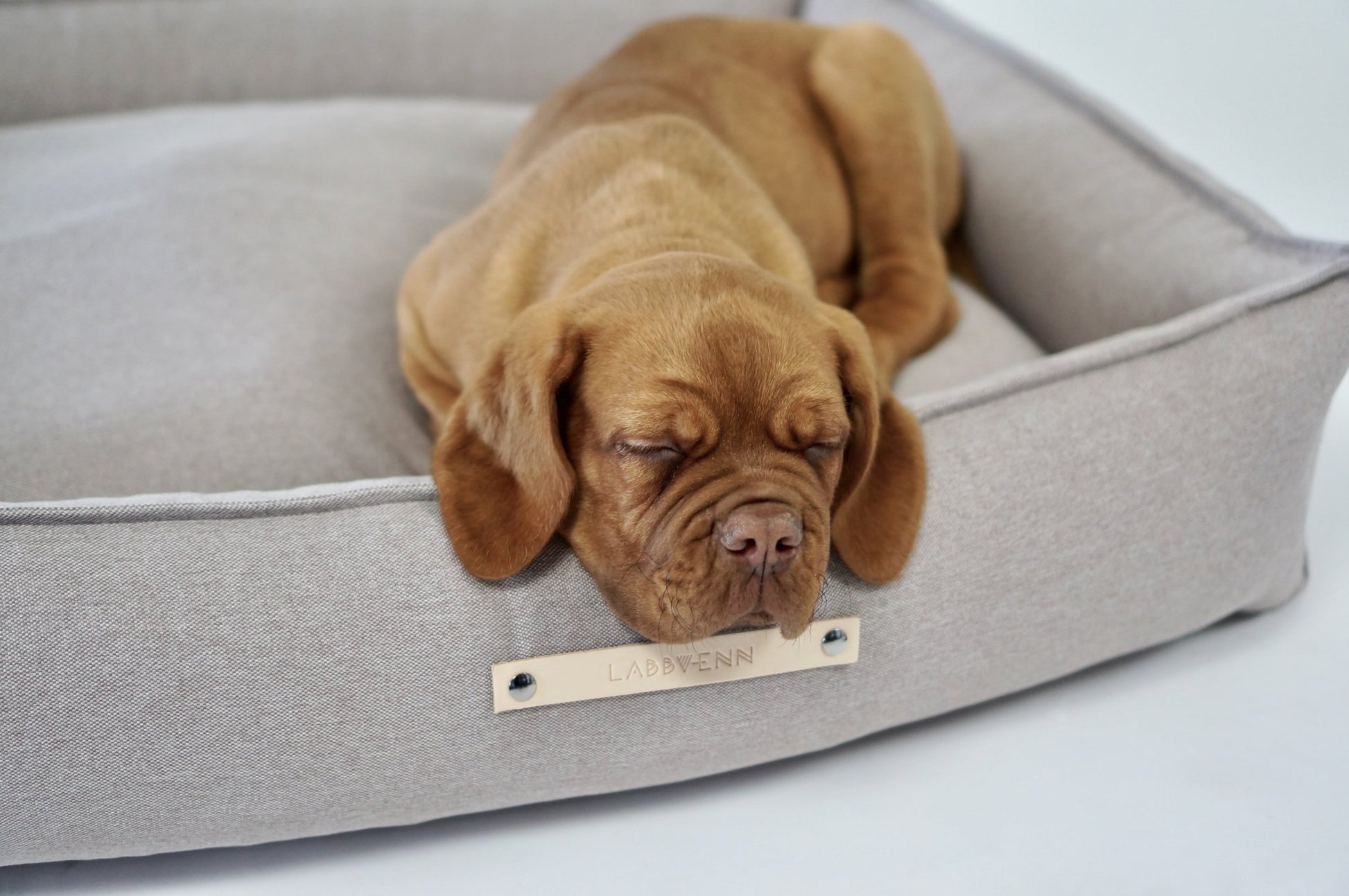 Töve | Panier pour chien, housse amovible - Jean - Poil - Marron