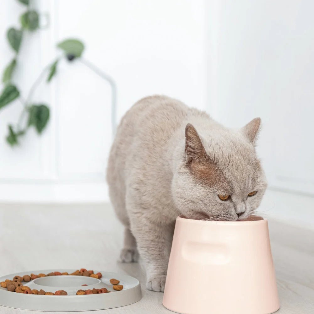 Tower | Gamelle ergonomique en porcelaine pour chat - Jean - Poil - Blanc
