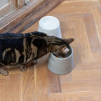 Tower | Gamelle ergonomique en porcelaine pour chat - Jean - Poil - Blanc