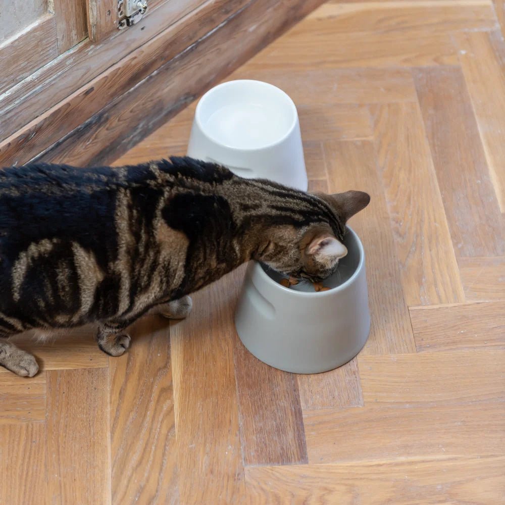 Tower | Gamelle ergonomique en porcelaine pour chat - Jean - Poil - Blanc