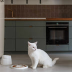 Tower | Gamelle ergonomique en porcelaine pour chat - Jean - Poil - Blanc