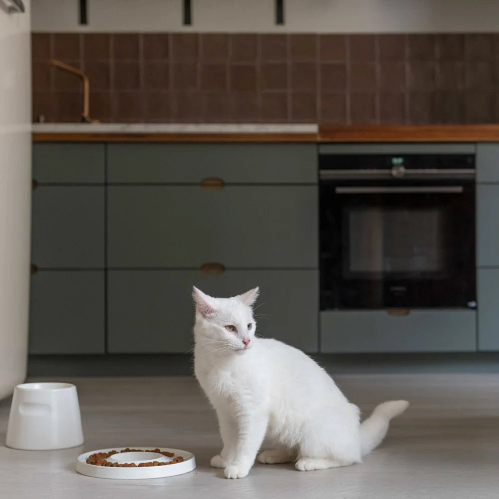 Tower | Gamelle ergonomique en porcelaine pour chat - Jean - Poil - Blanc